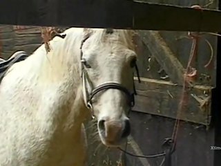 Porcas selvagem xxx vídeo em um barn para marota fazenda meninas