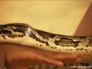 Bollywood dan yang mempesonakan ular